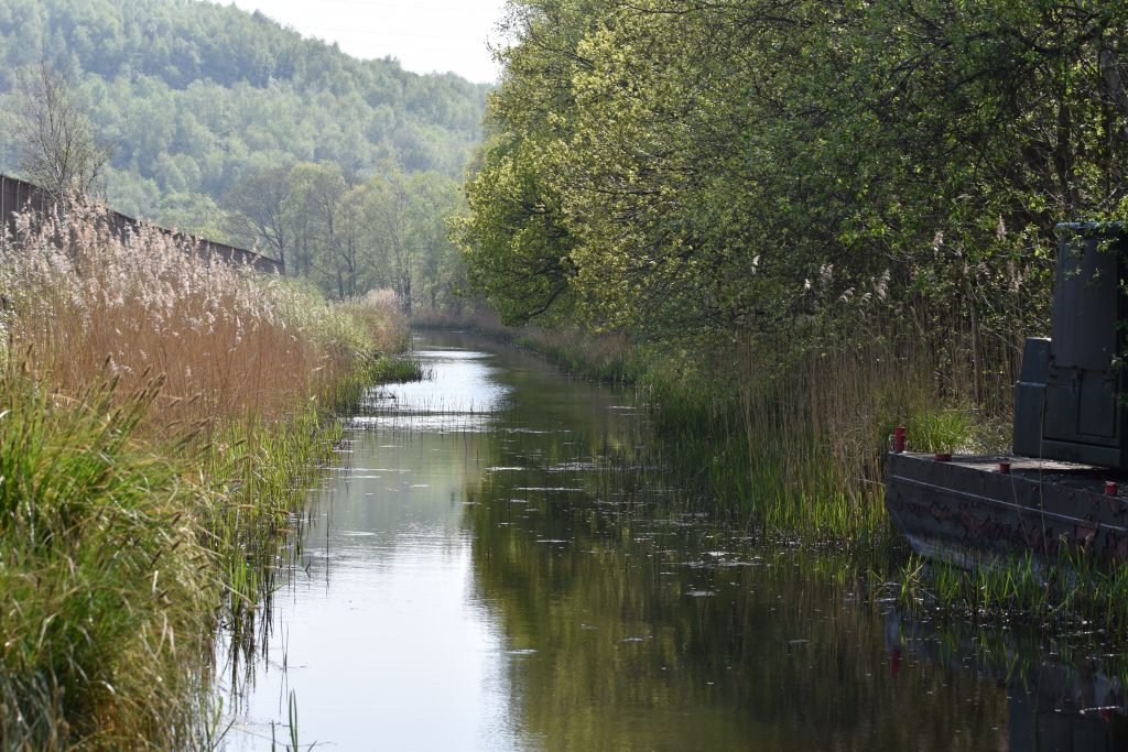 Tennant Canal in May 2021