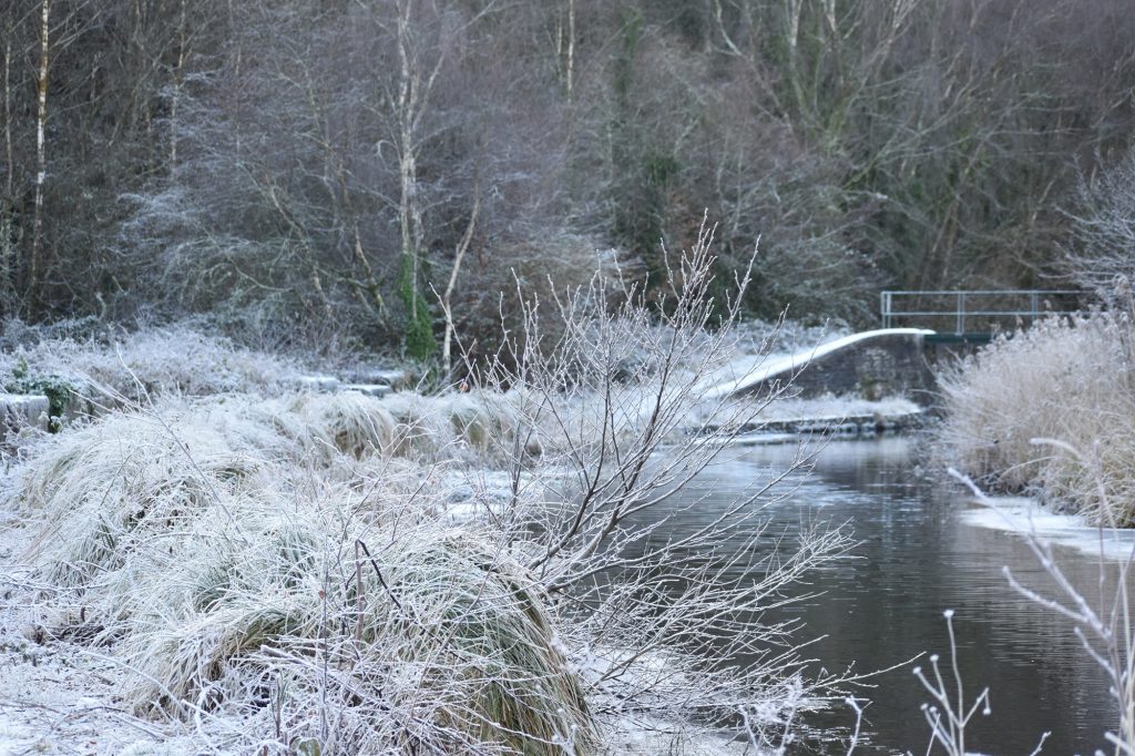 Winter at the Tennant January 2026