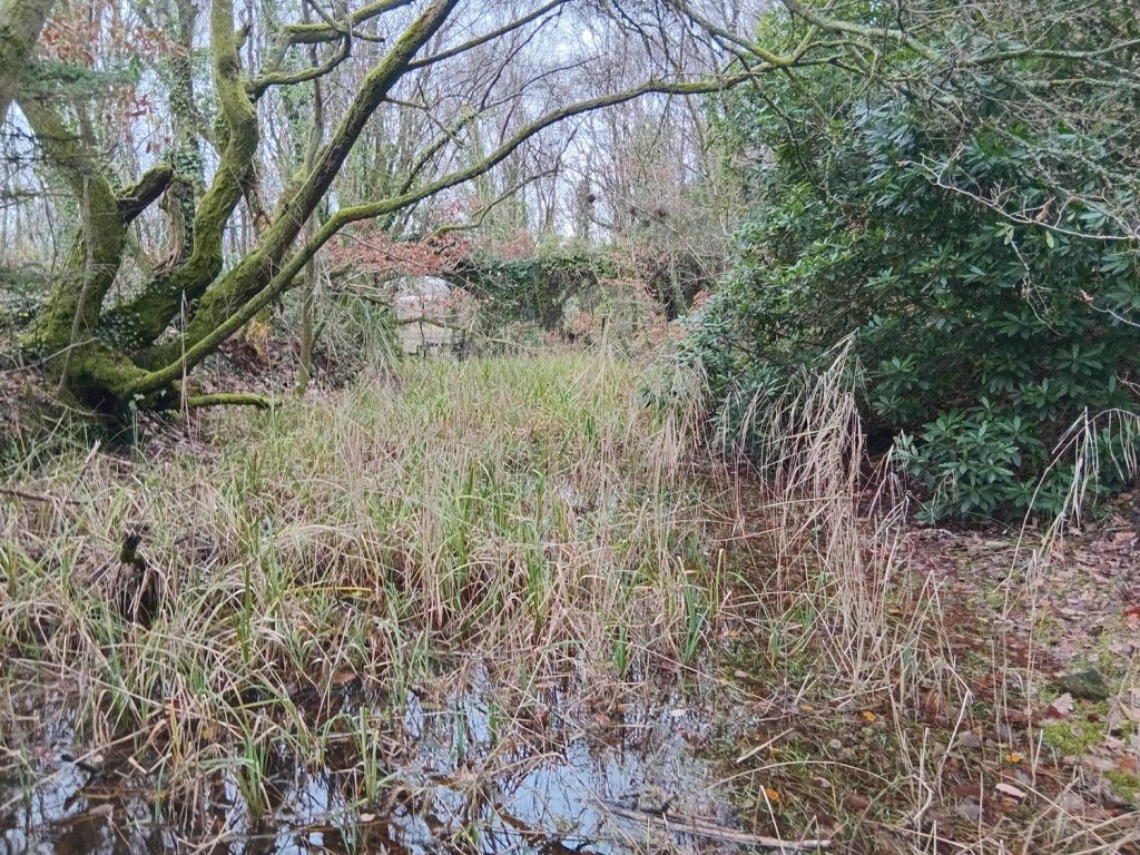 Double Arched Bridge at Red Jacket Canal/Glan-y-Wern Canal.