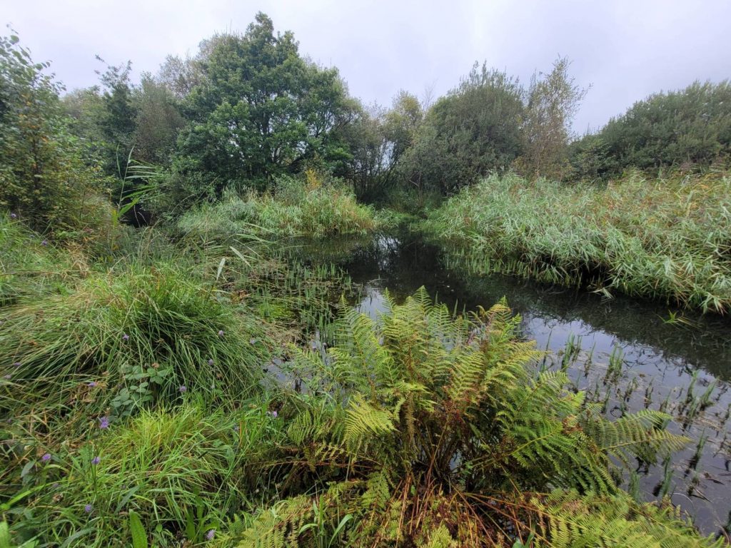 Glan-y-Wern just before it meets the Tennant Canal