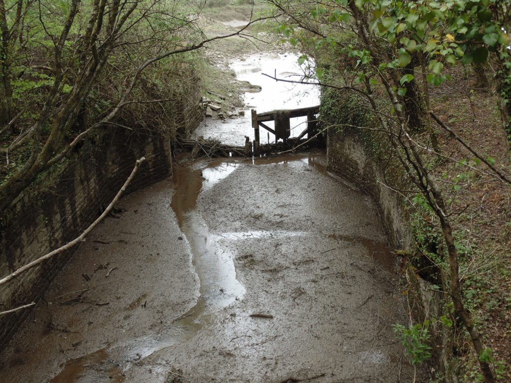 Ruins of the Lock Gates at Red Jacket Pill.