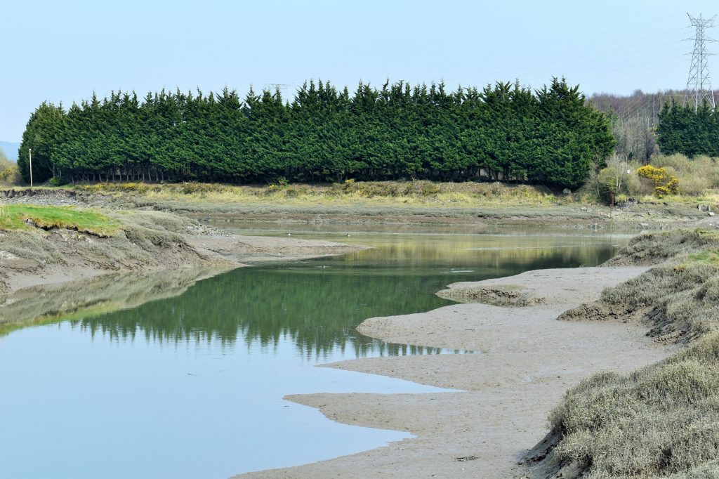 Red Jacket Pill meets the River Neath