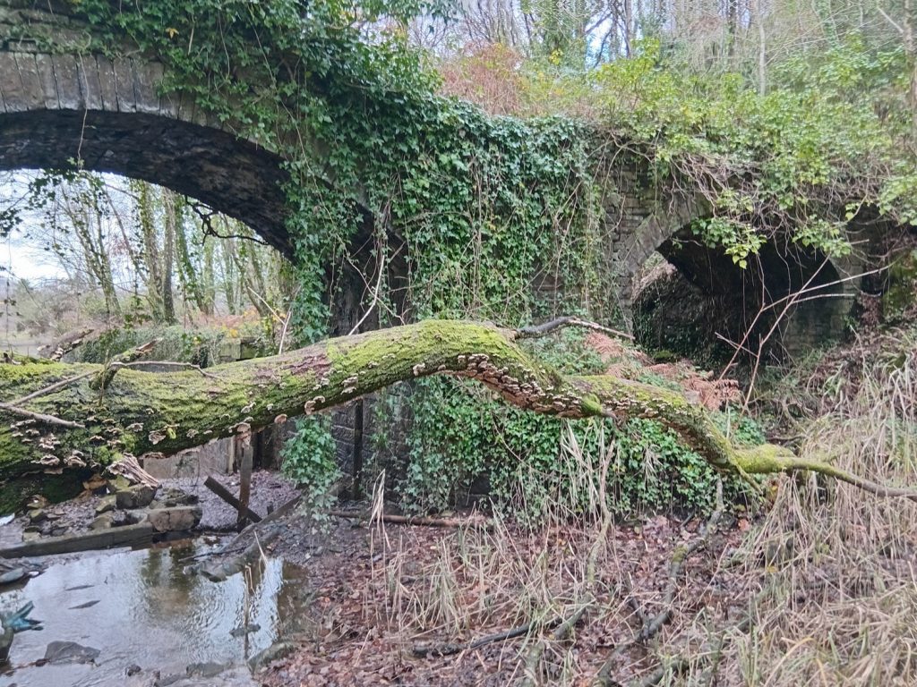 Double Arched Bridge at Red Jacket Canal/Glan-y-Wern Canal.