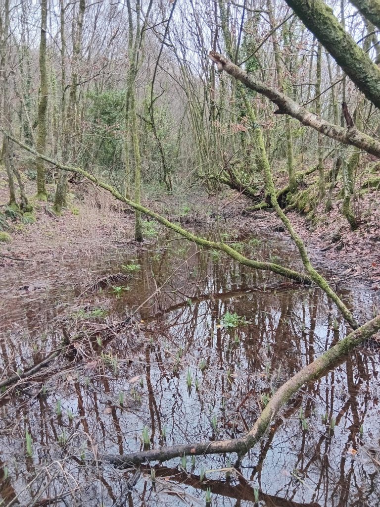 The Glan yr Wern Canal. Later the Red-Jacket Canal.