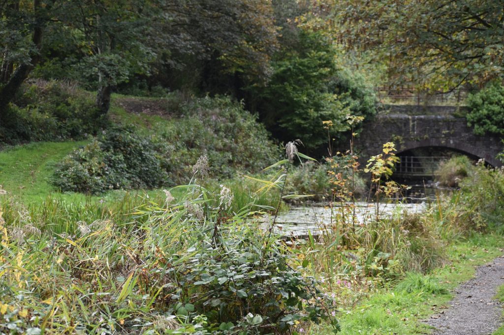 A Summer day at the Tennant Canal near Neath Abbey in 2024.