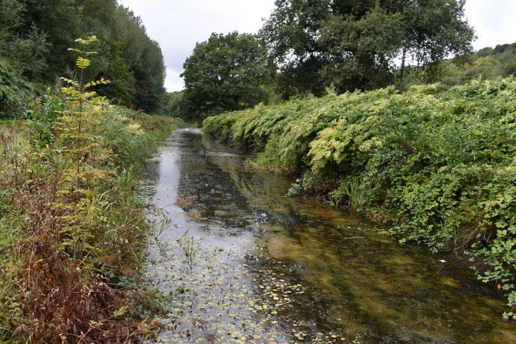The canal carries on behind the historic village of Cadoxton, following the line of the old waterway.