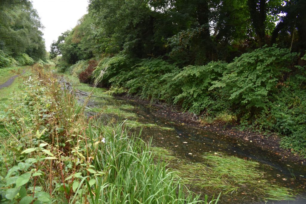The canal continues its slow journey toward Neath, its visibly degraded and neglected condition impossible to ignore.