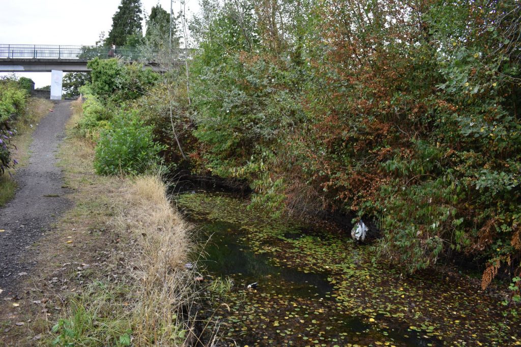 The approach to the Tennant Canal Bridge Street Tunnel tells its own story of neglect.