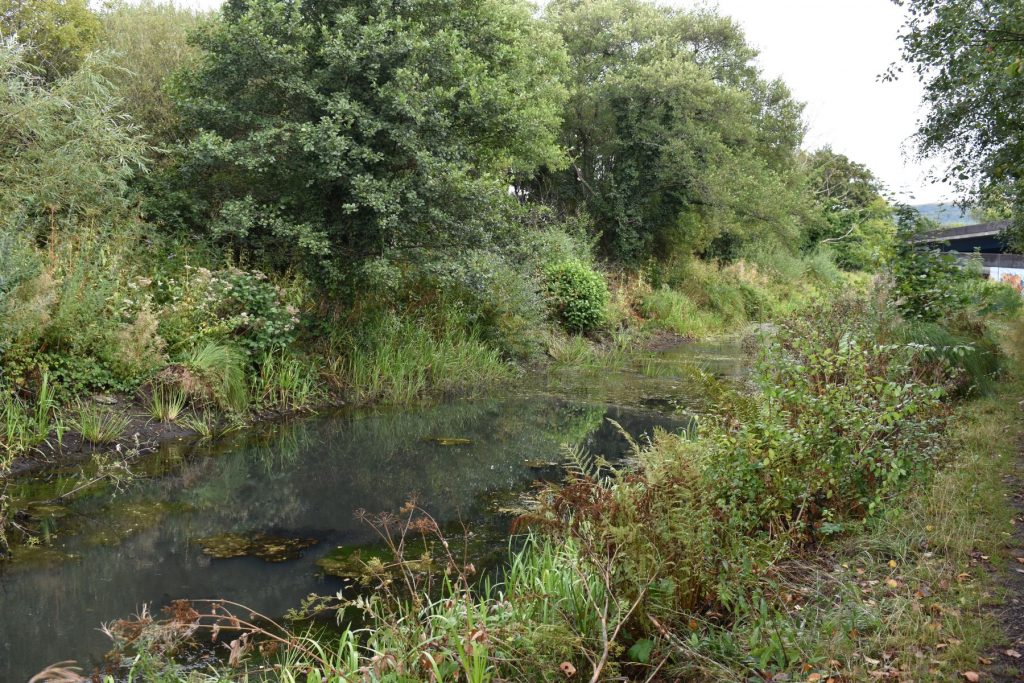 The route carries on between the Cwrt Herbert roadway bridges, where the canal threads its way through one of its most enclosed stretches.