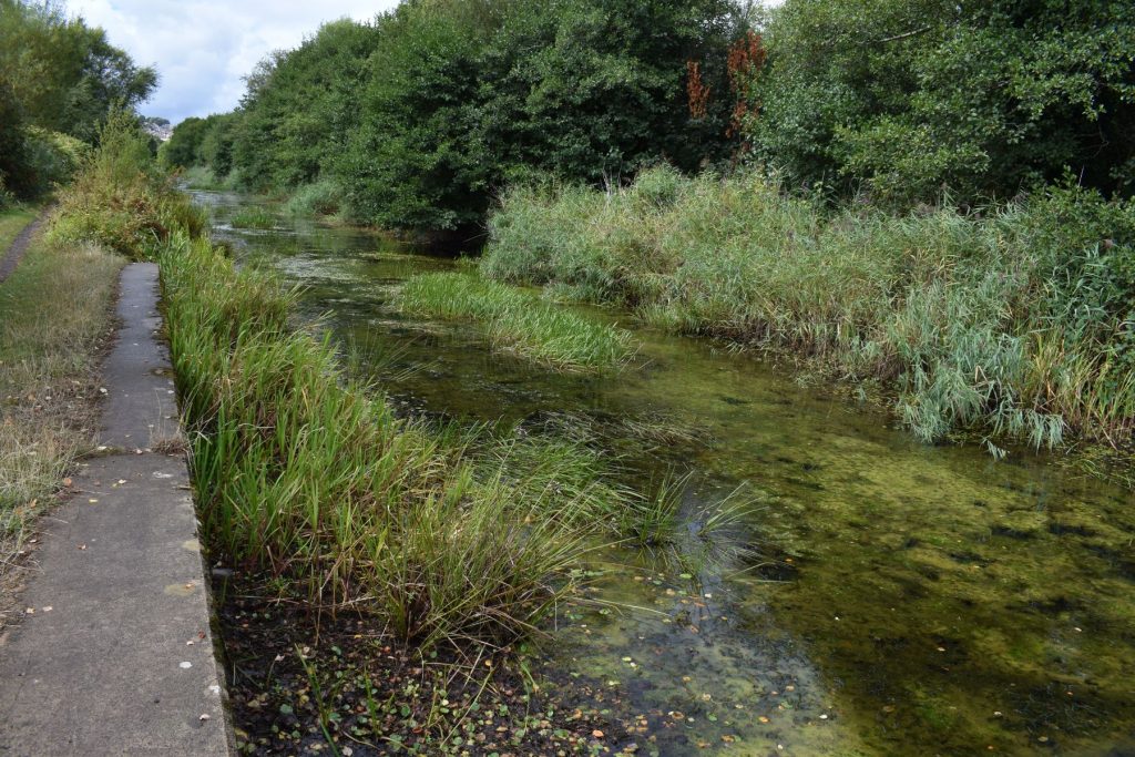 The area of the canal behind Tesco's supermarket at Neath Abbey.