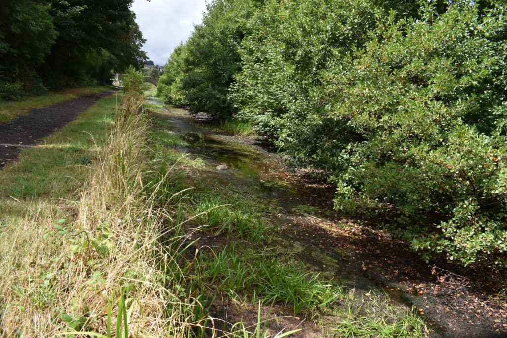 What was once one of the canal’s most beautiful stretches has now dwindled into a drying, lifeless channel.