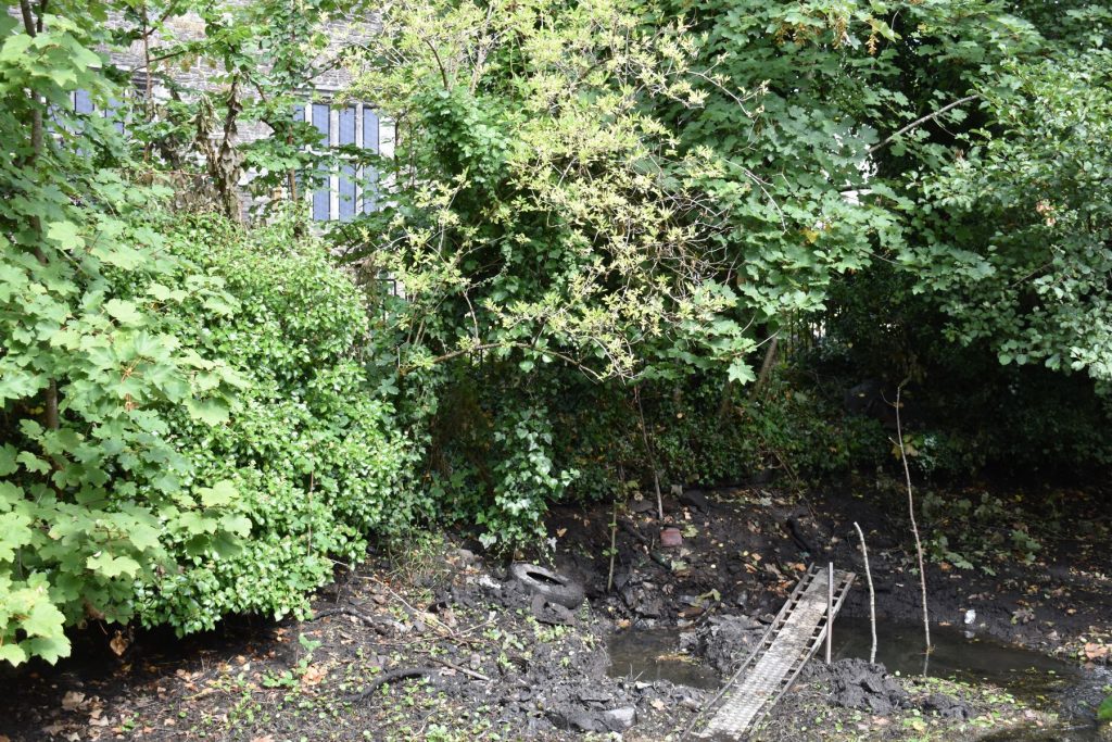 As you arrive at Neath Abbey, the two‑hundred‑year‑old muddy canal quietly fades from view, giving way to the grandeur of the ruins in the background.