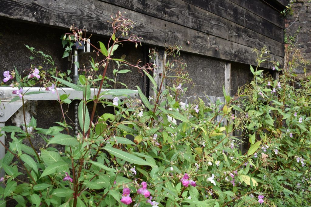 The Sluice Gates