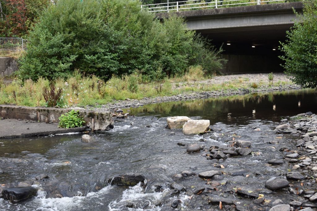 The Dulias River meets the Tennant Canal supply Weir