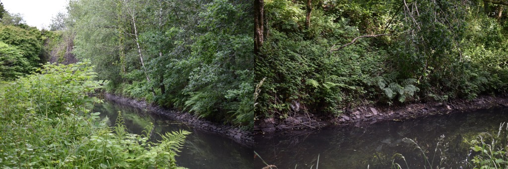 The Scheduled Monument at Skewen Cuttings