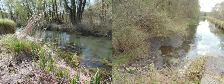 Tennant Canal at Red Jacket – April 2021.