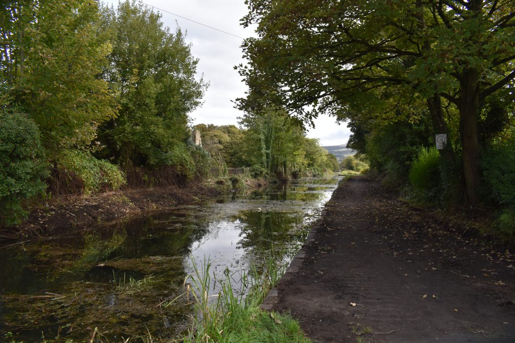 Neath Abbey Maintanance (1)
