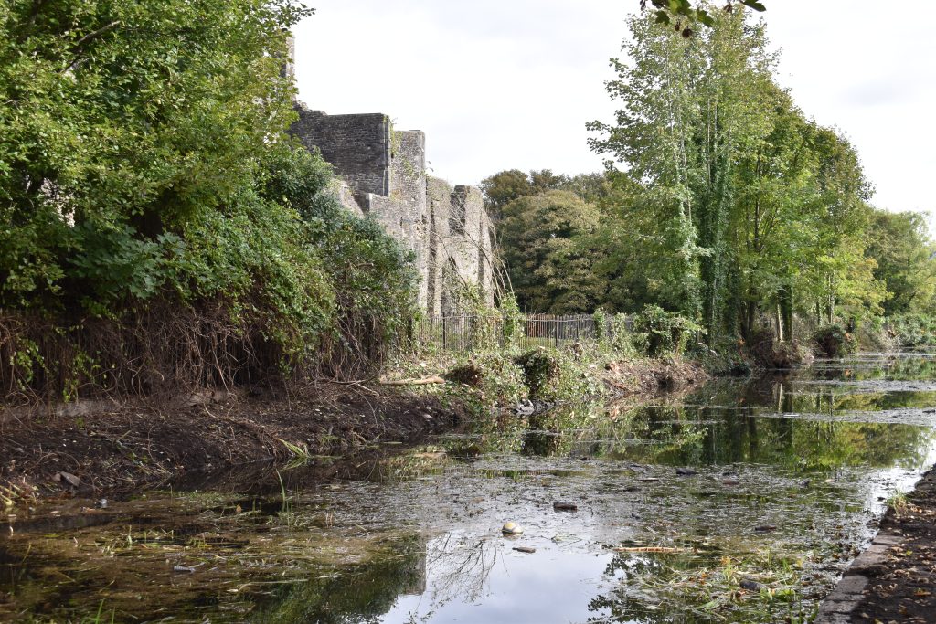 Neath Abbey Maintanance