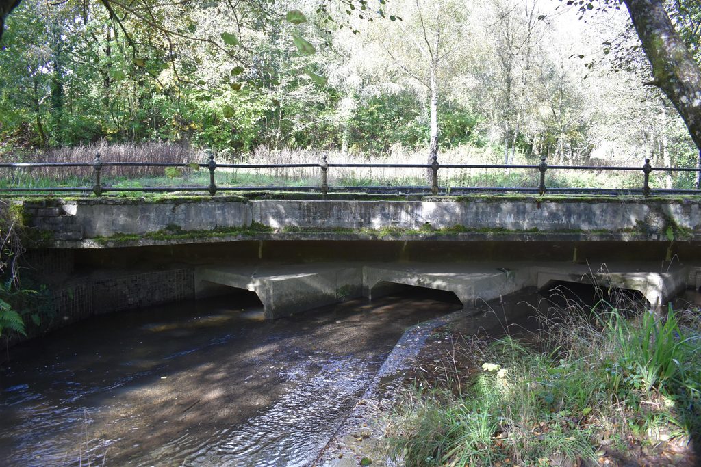 The Neath Canal Resolven