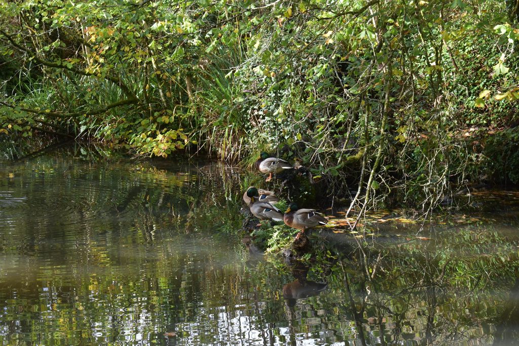 The Neath Canal Resolven