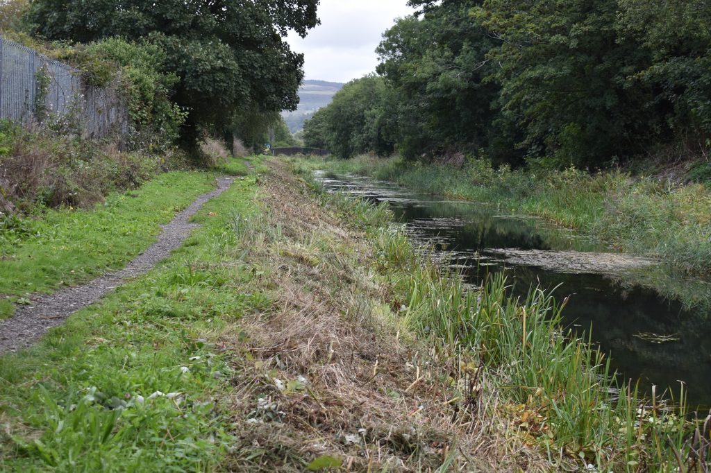 Tennant canal bank after maintanance.